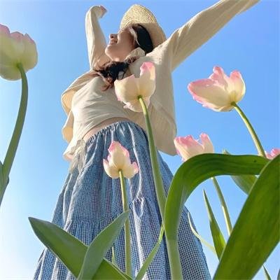 风流奇男子